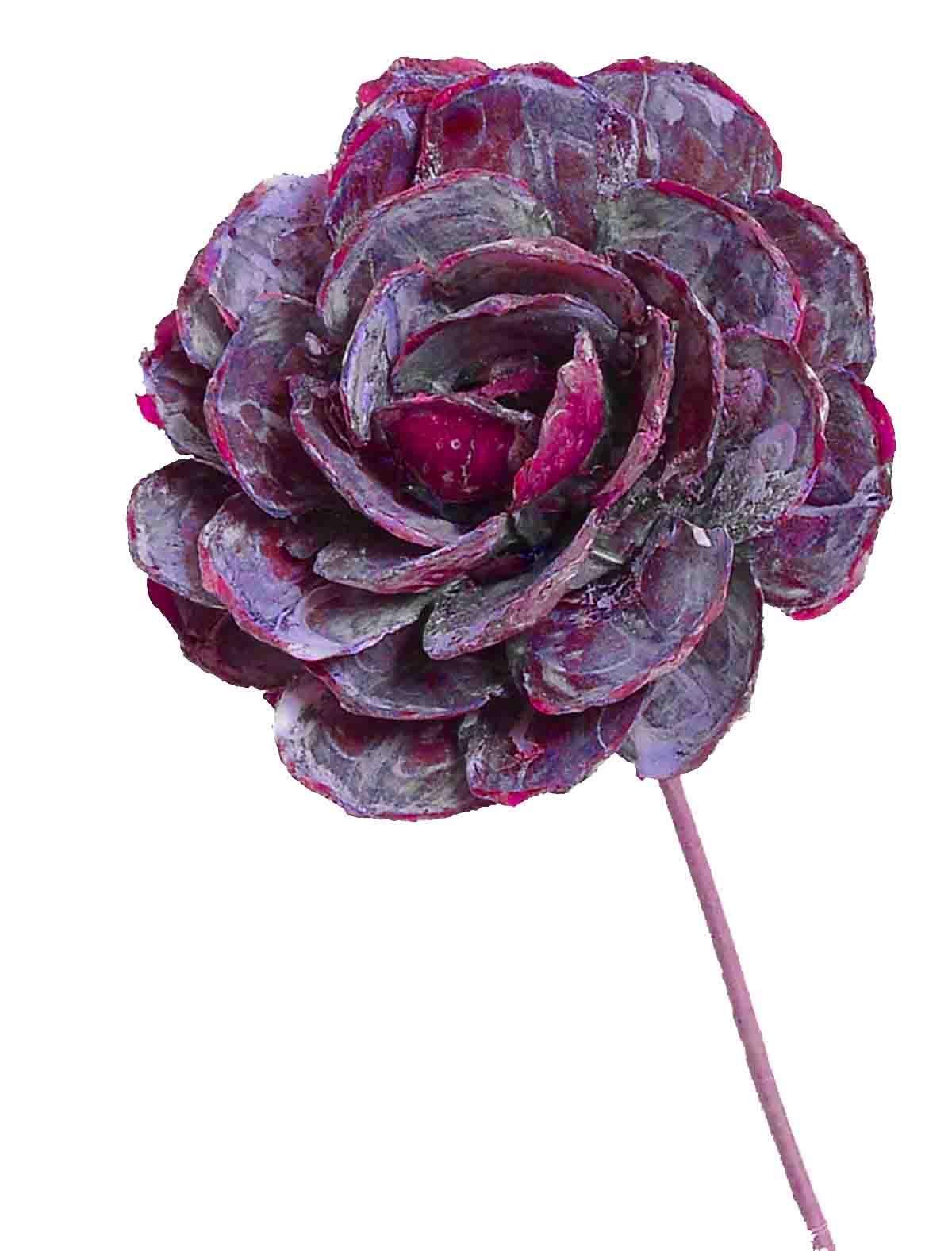 Pinienrose am Stiel brombeer frosted