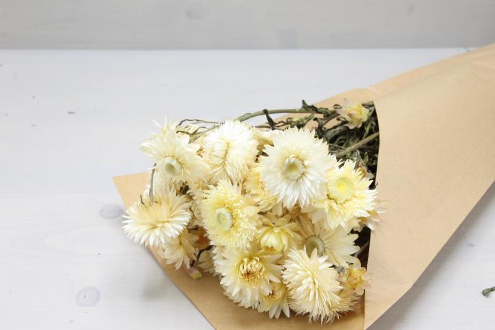 Helichrysum natur-weiss 85gr.