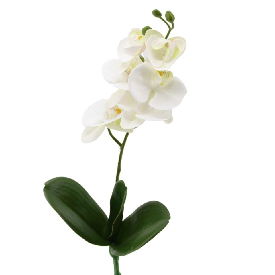 Phalaenopsis mit Blatt weiss H41cm