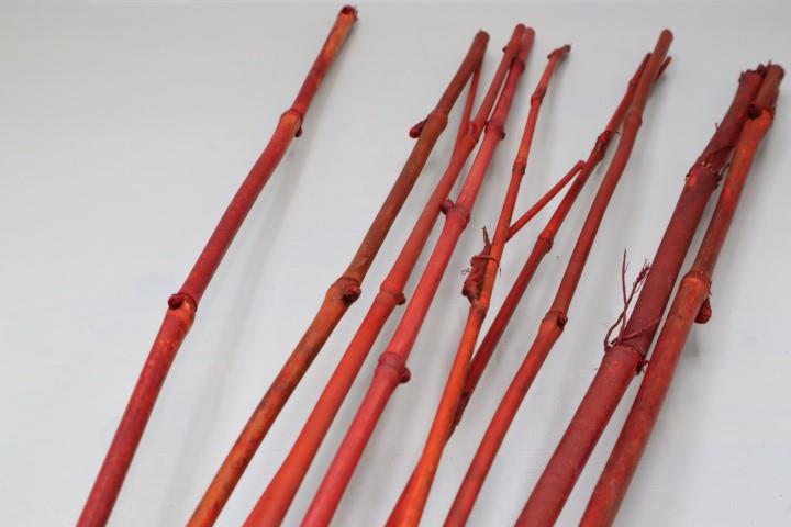 Reed Bündel rot Länge ca. 100 cm