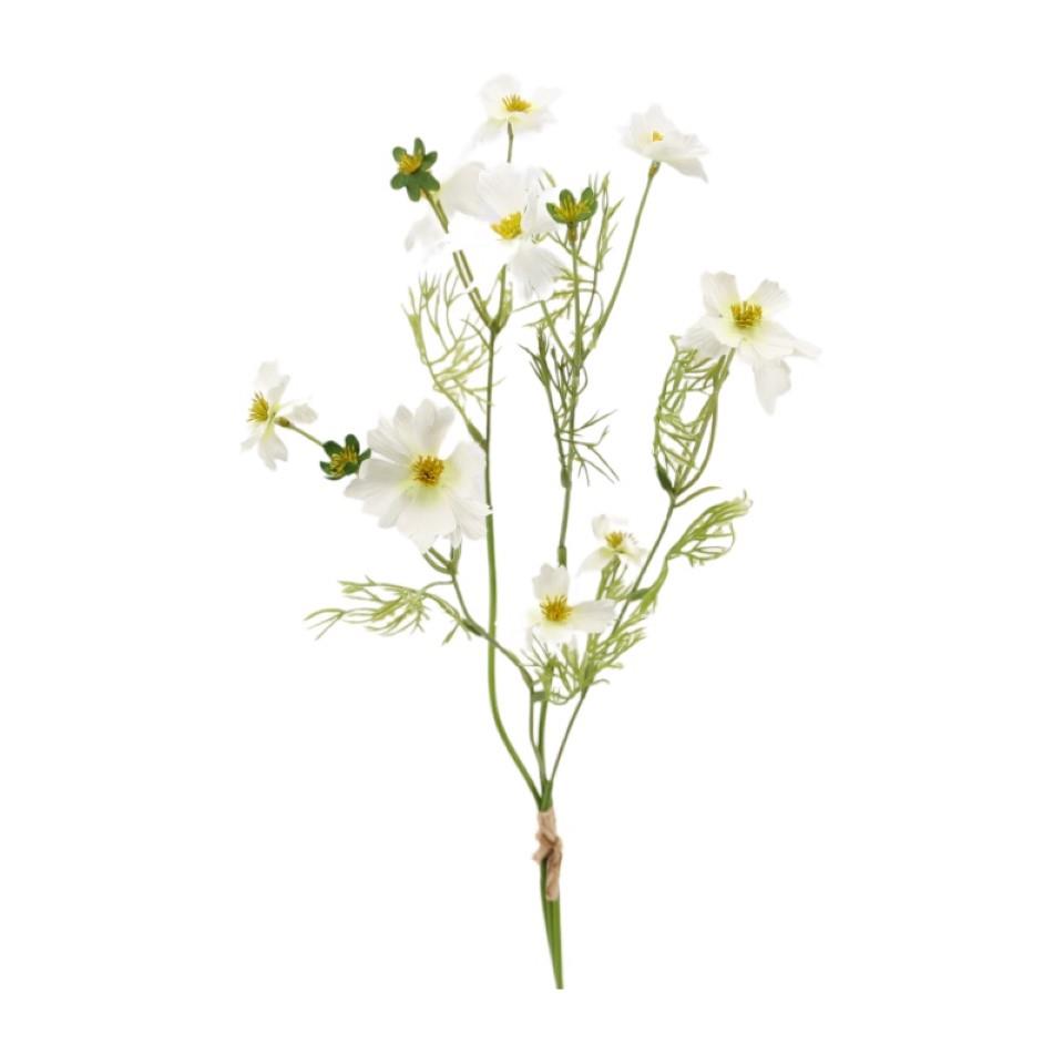 Cosmea-Bund 4fach weiss H51cm