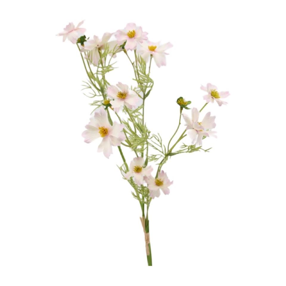 Cosmea-Bund 4fach rosa H51cm