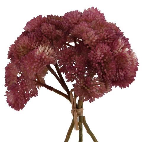 Sedum Bund 3-fach rosa 20cm