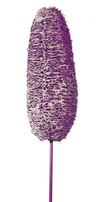 Luffa brombeer frosted gestielt 14-20cm