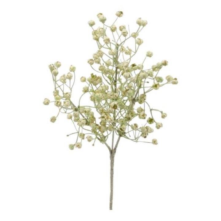 Gypsophila Dry look creme L43cm