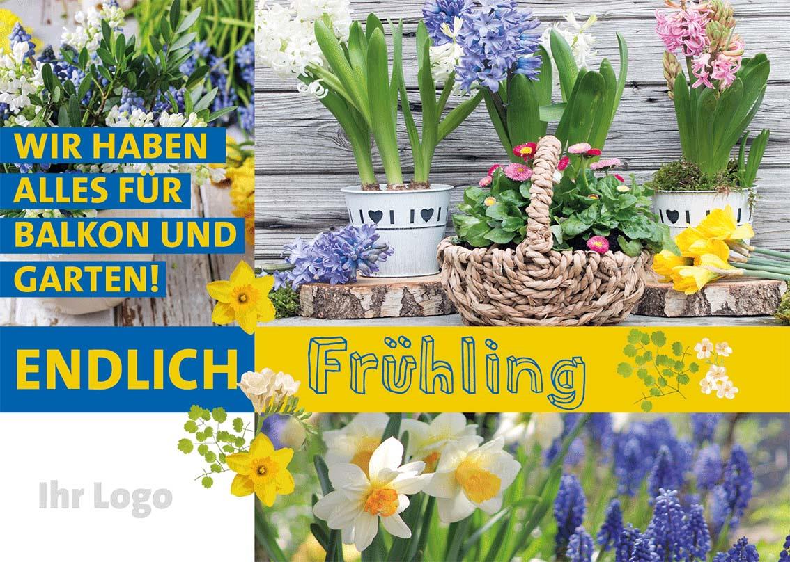 ekaflor Frühlingsstart Großflächenplakat inkl. Druck