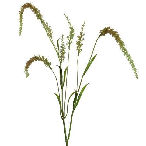 Setaria 83cm grün