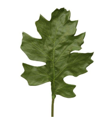 Acanthus Blatt 53cm grün