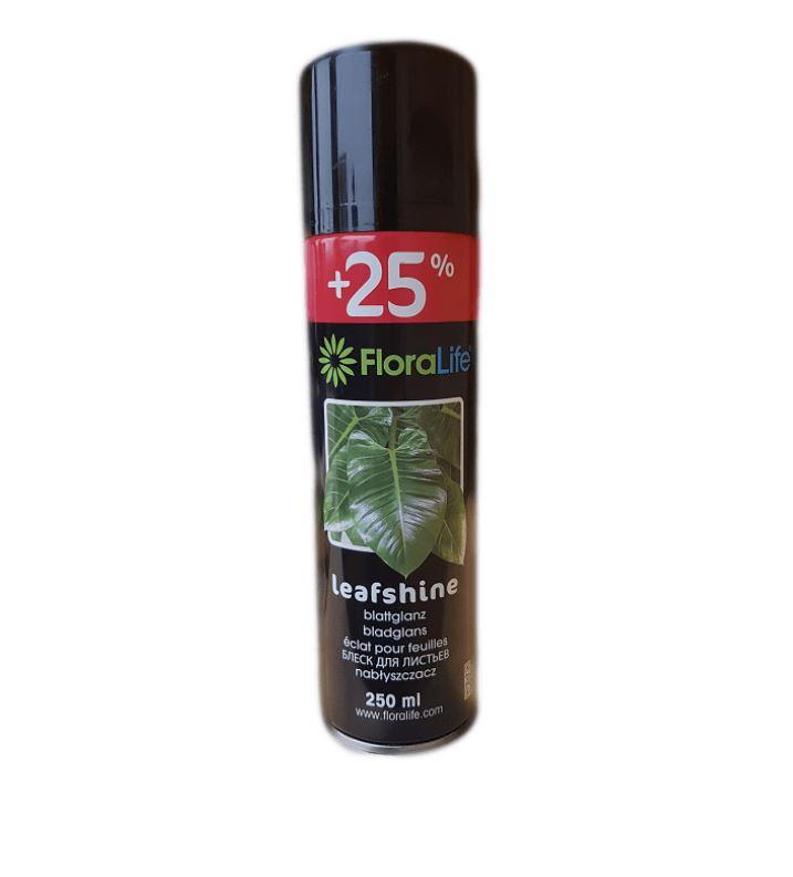 FLORALIFE Blattglanz  250ml Dose  NETTO