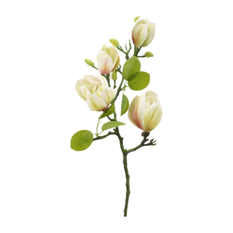 Magnolienzweig weiß-grün H66cm