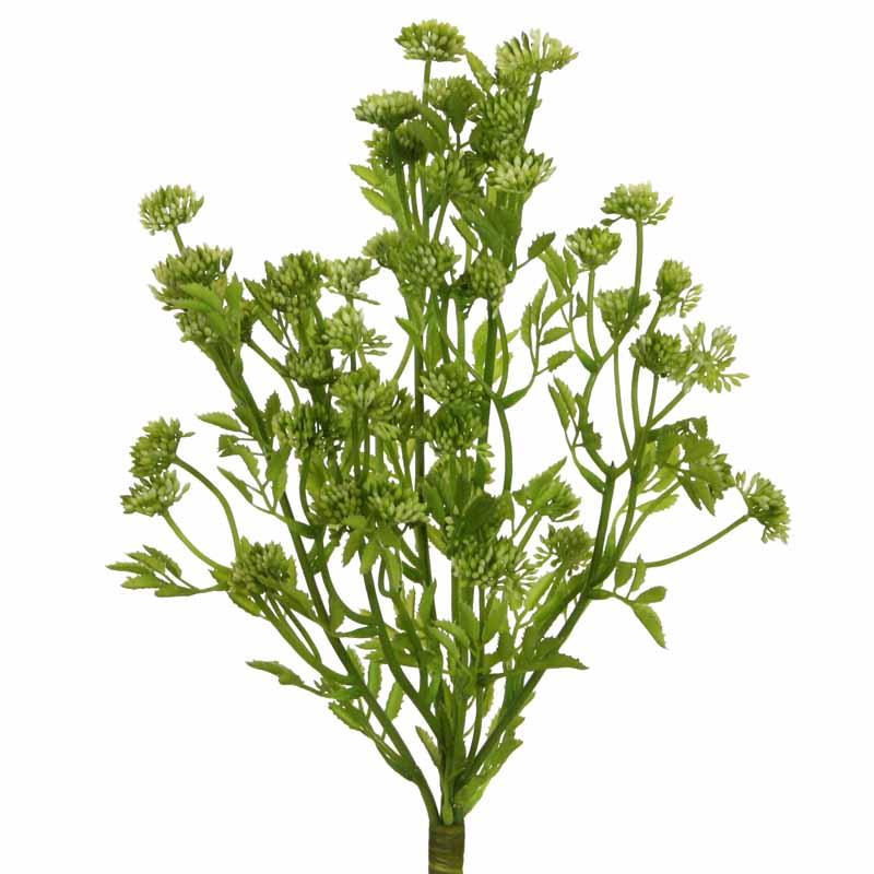 Dill Busch 40cm grün-creme