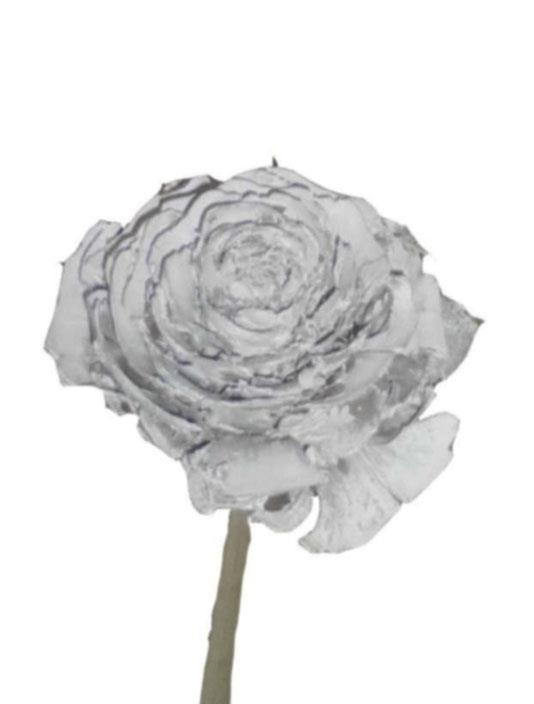 Cedernrose gestielt whitewashed