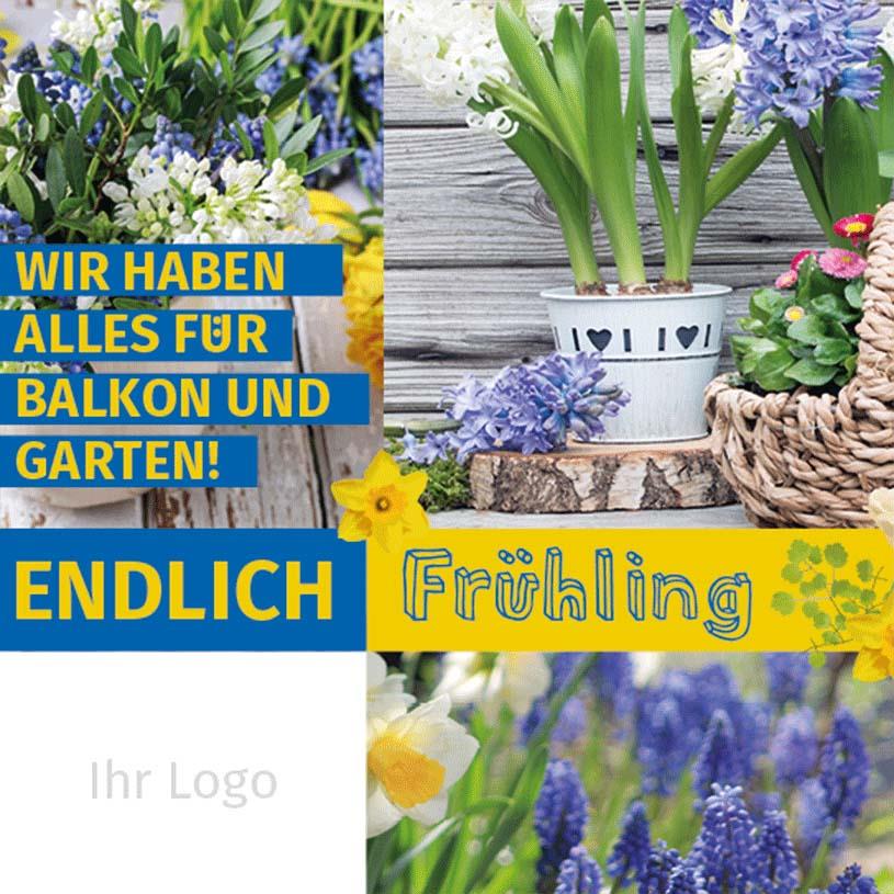 ekaflor Frühlingsstart Anzeigenvorlage PDF+JPG