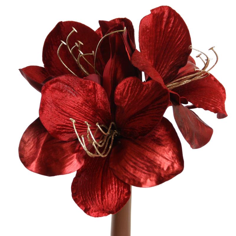 Amaryllis Velvet 68cm rot-gold