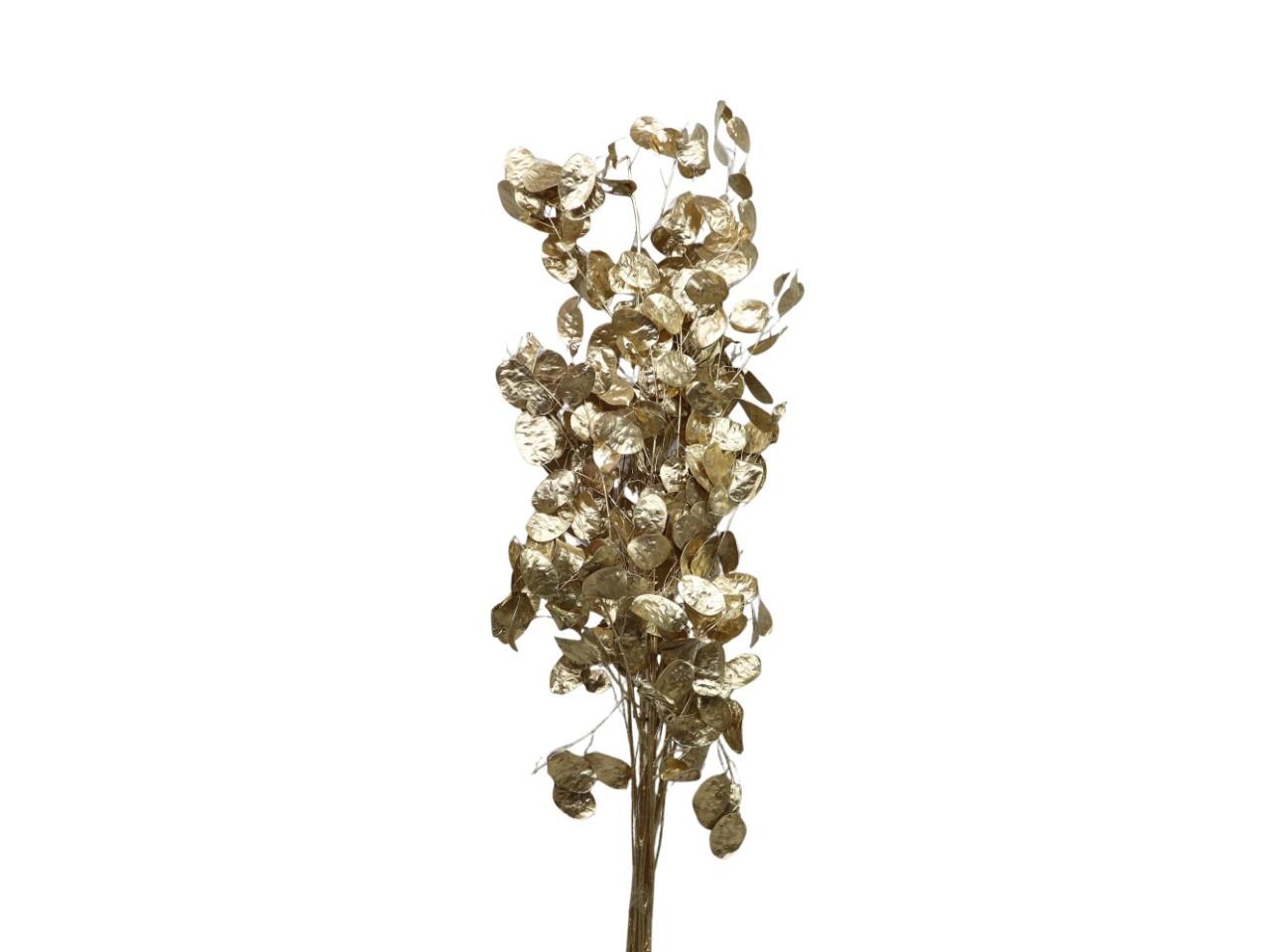 Lunaria Zweige gold 100gr.