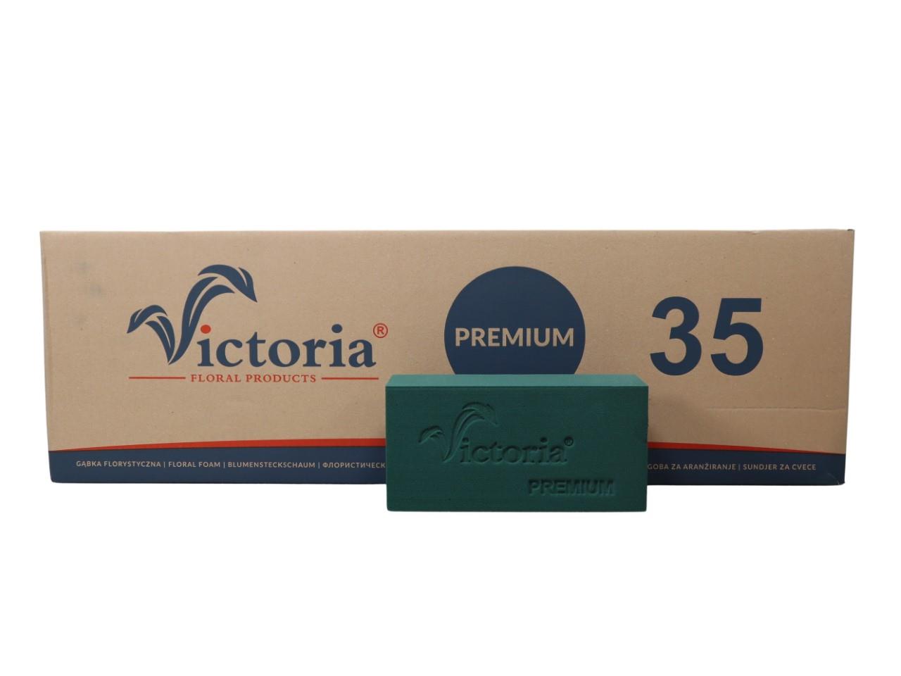 VICTORIA Premium Frischblumensteckschaum NETTO