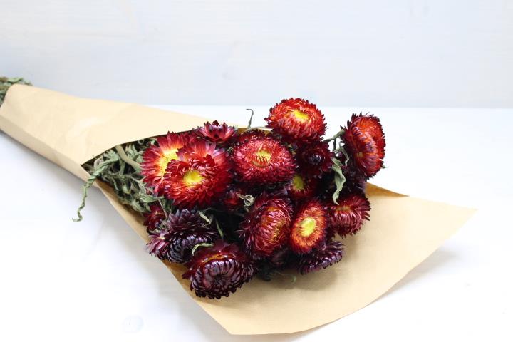 Helichrysum natur-rot 85gr.